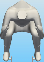DynIBM网格
